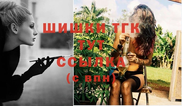спайс Гусь-Хрустальный
