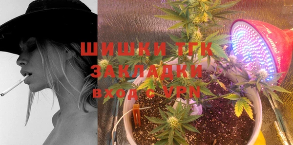 МДПВ Горняк