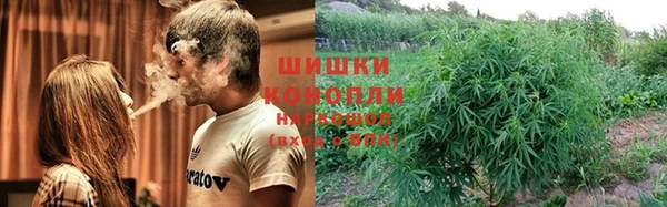 амф Гусиноозёрск
