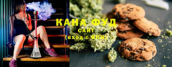амф Гусиноозёрск