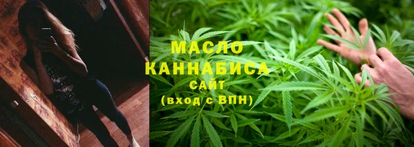 спайс Гусь-Хрустальный
