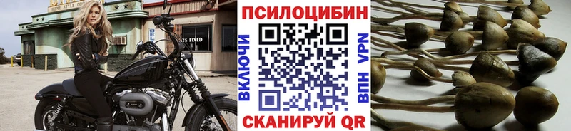 Галлюциногенные грибы мицелий  площадка формула  Советский  купить  